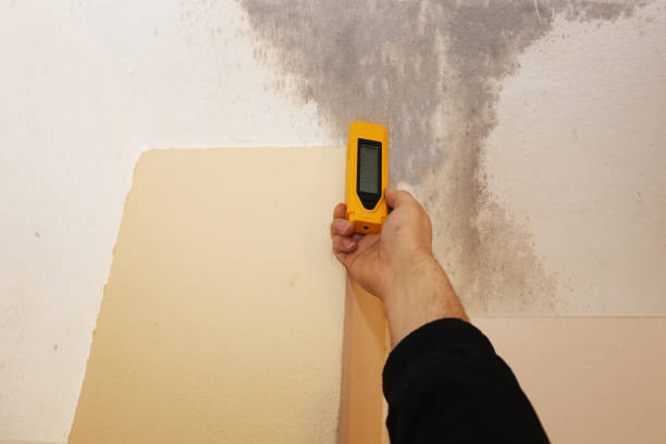 Best Crawl Space Mold Remediation  in Las Vegas, NV