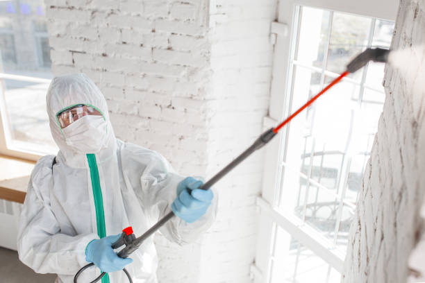 Best Mold Removal for HVAC Installations  in Las Vegas, NV