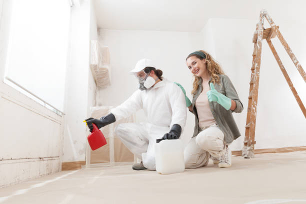 Environmental Consulting for Mold Prevention in Las Vegas, NV