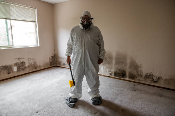 Best Residential Mold Inspection & Testing  in Las Vegas, NV